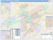 Johnson City Metro Area Wall Map Color Cast Style